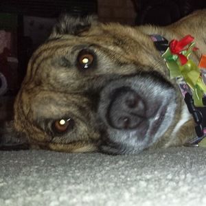 Meet your Posher, Bethany